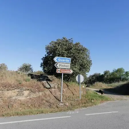 Mendes Oliva Almeida