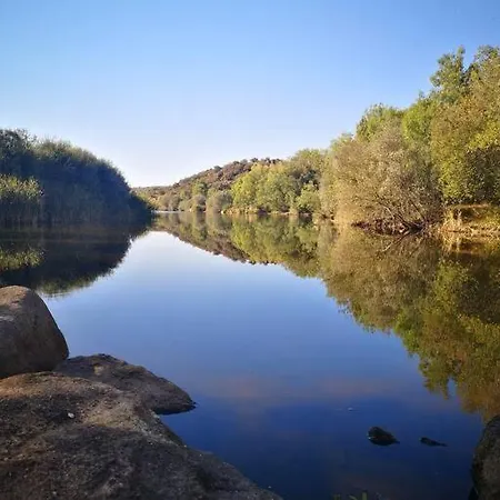 Mendes Oliva Almeida
