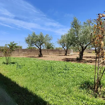 Mendes Oliva Almeida