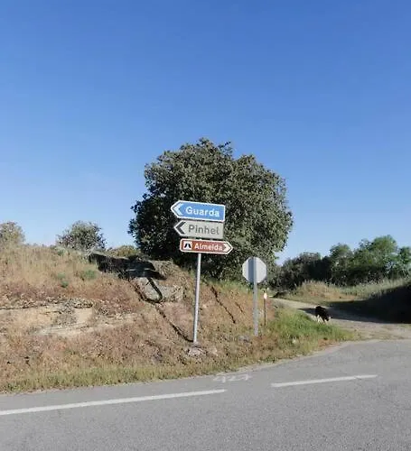 Mendes Oliva Almeida