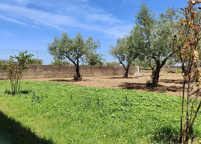 Mendes Oliva Almeida